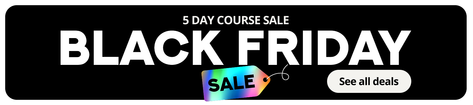 Black Friday Course Sale